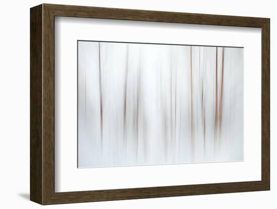 Fog-Ursula Abresch-Framed Photographic Print