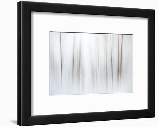 Fog-Ursula Abresch-Framed Photographic Print