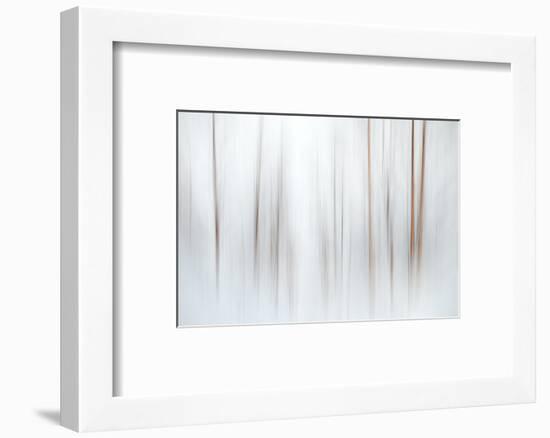 Fog-Ursula Abresch-Framed Photographic Print