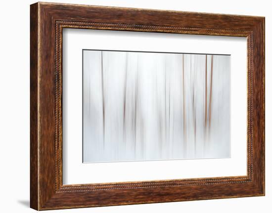 Fog-Ursula Abresch-Framed Photographic Print