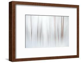 Fog-Ursula Abresch-Framed Photographic Print