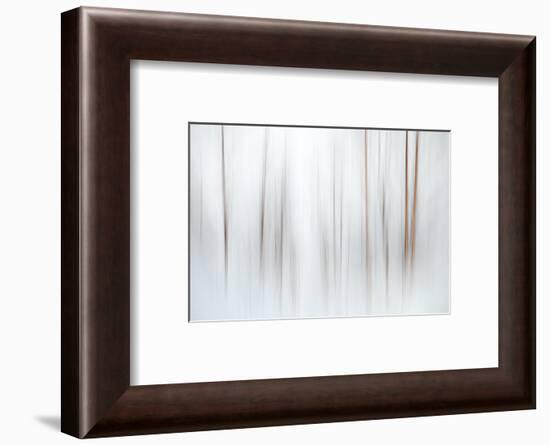 Fog-Ursula Abresch-Framed Photographic Print