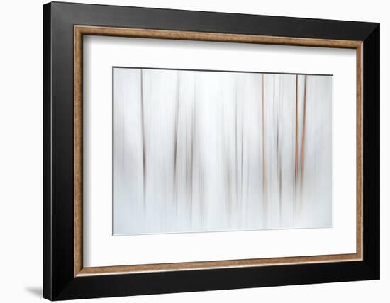 Fog-Ursula Abresch-Framed Photographic Print