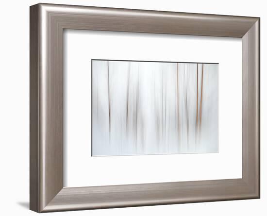 Fog-Ursula Abresch-Framed Photographic Print