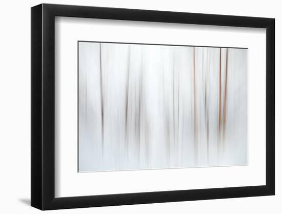 Fog-Ursula Abresch-Framed Photographic Print