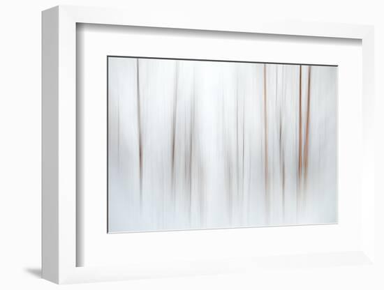 Fog-Ursula Abresch-Framed Photographic Print