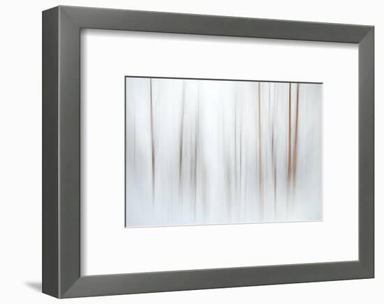 Fog-Ursula Abresch-Framed Photographic Print