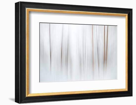 Fog-Ursula Abresch-Framed Photographic Print