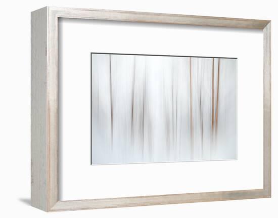 Fog-Ursula Abresch-Framed Photographic Print