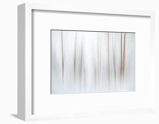 Fog-Ursula Abresch-Framed Photographic Print