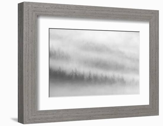 Fog-Ursula Abresch-Framed Photographic Print