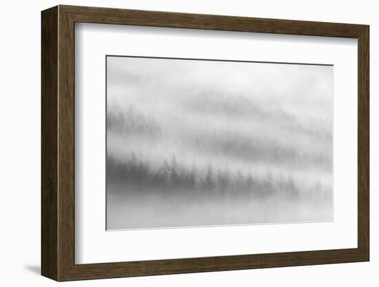 Fog-Ursula Abresch-Framed Photographic Print