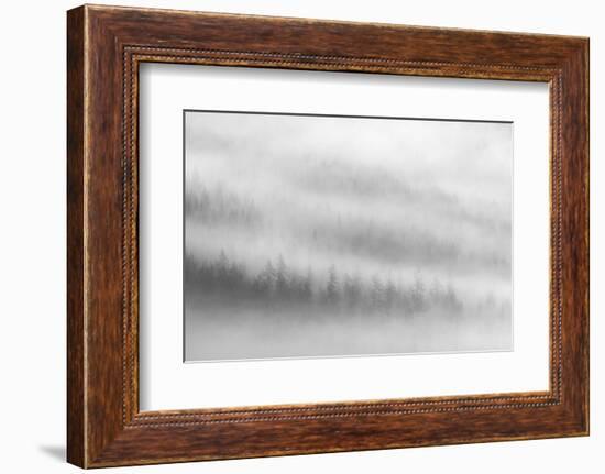 Fog-Ursula Abresch-Framed Photographic Print