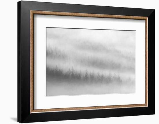 Fog-Ursula Abresch-Framed Photographic Print