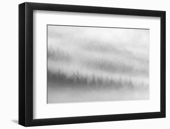 Fog-Ursula Abresch-Framed Photographic Print