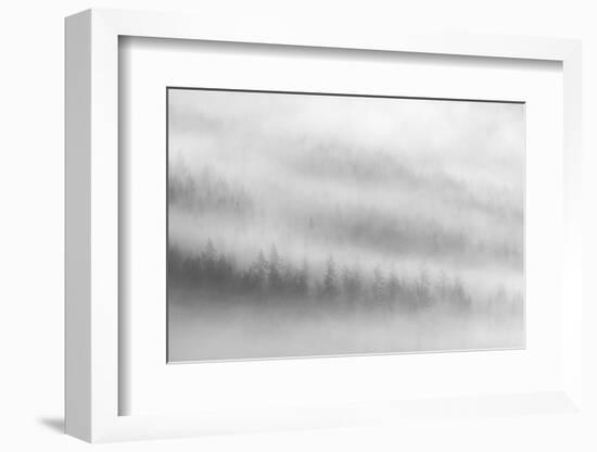 Fog-Ursula Abresch-Framed Photographic Print