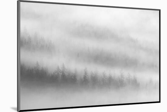 Fog-Ursula Abresch-Mounted Photographic Print