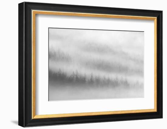 Fog-Ursula Abresch-Framed Photographic Print