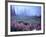 Foggy Alpine Meadow, Mt. Rainier National Park, Washington, USA-Janell Davidson-Framed Photographic Print