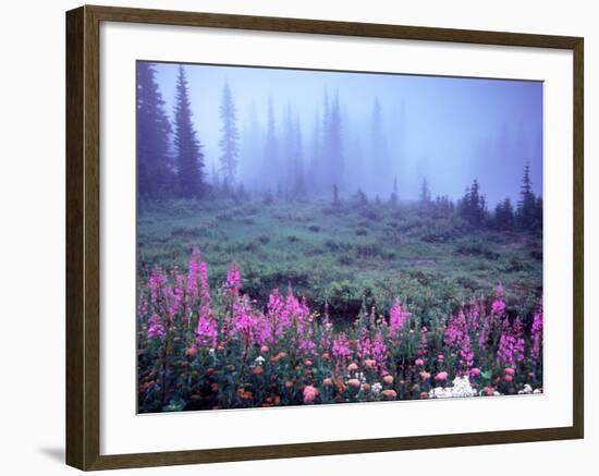 Foggy Alpine Meadow, Mt. Rainier National Park, Washington, USA-Janell Davidson-Framed Photographic Print