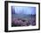 Foggy Alpine Meadow, Mt. Rainier National Park, Washington, USA-Janell Davidson-Framed Photographic Print