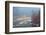 Foggy autumn, Nason Creek, Wenatchee National Forest, Washington State, USA-Michel Hersen-Framed Photographic Print