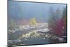 Foggy autumn, Nason Creek, Wenatchee National Forest, Washington State, USA-Michel Hersen-Mounted Photographic Print