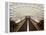 Foggy Bottom Metro Station Platform, Part of the Washington D.C. Metro System, Washington D.C., USA-Mark Chivers-Framed Premier Image Canvas