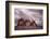 Foggy Cover-Damiano Serra-Framed Photographic Print