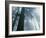 Foggy Dawn in Lady Bird Grove, Del Norte County, Redwood National Park, California-Kevin Schafer-Framed Photographic Print