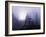 Foggy Day with Trees-Sharon Wish-Framed Photographic Print