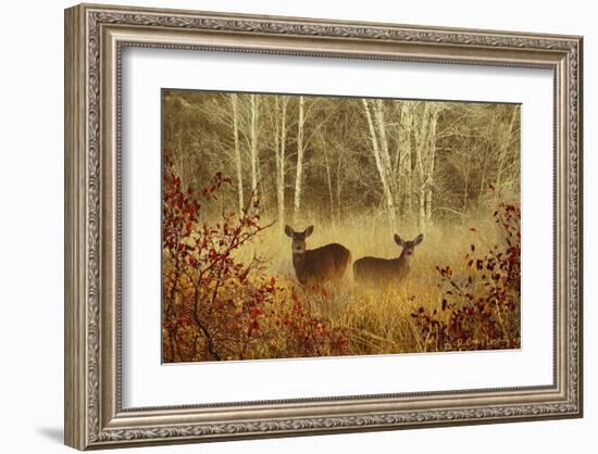 Foggy Deer-Chris Vest-Framed Art Print