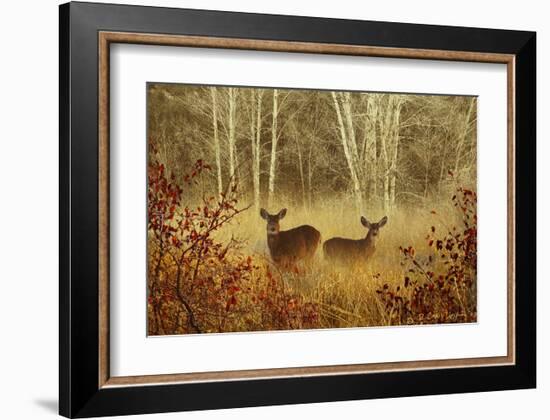 Foggy Deer-Chris Vest-Framed Art Print