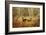 Foggy Deer-Chris Vest-Framed Art Print