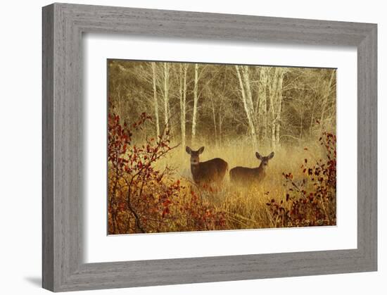 Foggy Deer-Chris Vest-Framed Art Print