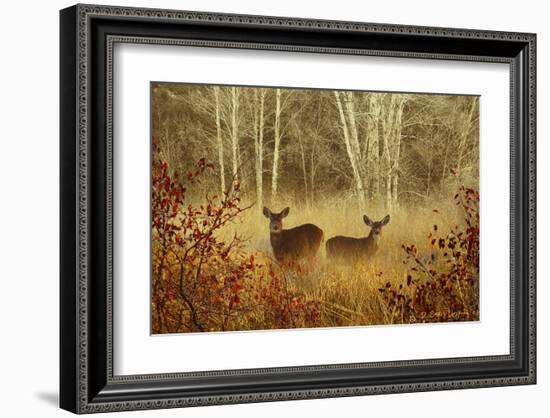 Foggy Deer-Chris Vest-Framed Art Print