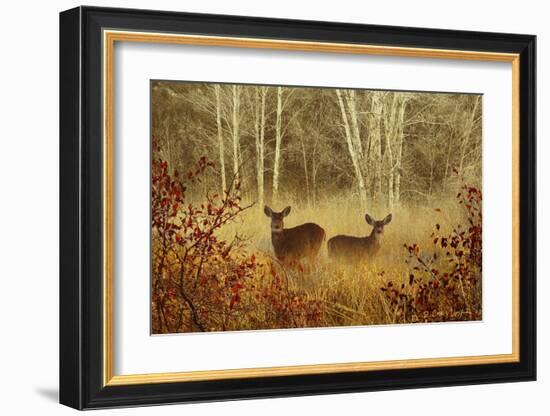 Foggy Deer-Chris Vest-Framed Art Print