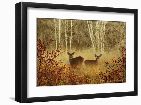 Foggy Deer-Chris Vest-Framed Art Print