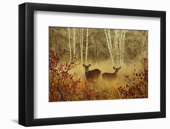 Foggy Deer-Chris Vest-Framed Art Print