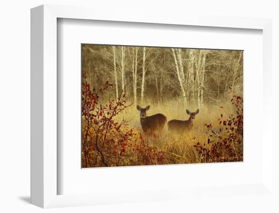 Foggy Deer-Chris Vest-Framed Art Print