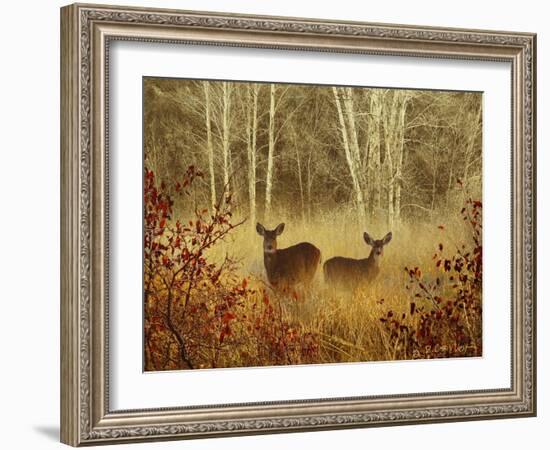 Foggy Deer-Chris Vest-Framed Art Print