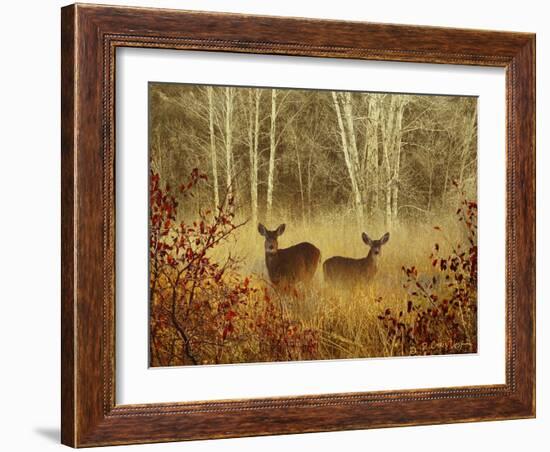 Foggy Deer-Chris Vest-Framed Art Print