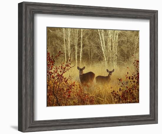 Foggy Deer-Chris Vest-Framed Art Print