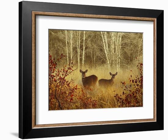 Foggy Deer-Chris Vest-Framed Art Print