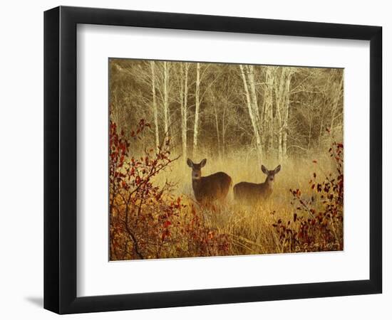 Foggy Deer-Chris Vest-Framed Art Print