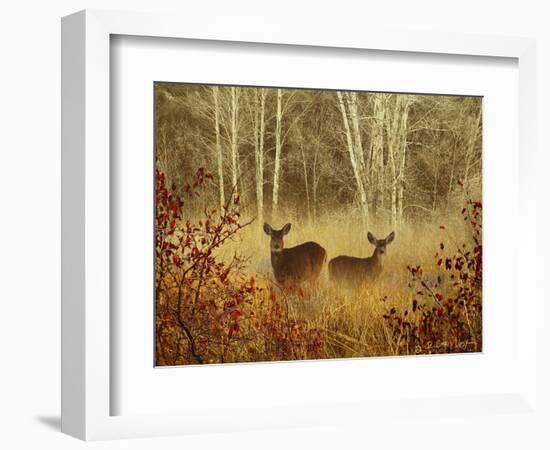 Foggy Deer-Chris Vest-Framed Art Print