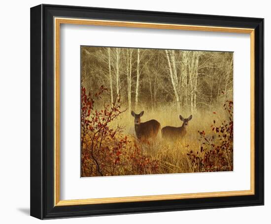 Foggy Deer-Chris Vest-Framed Art Print