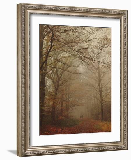 Foggy Forest-Peter Polter-Framed Photographic Print