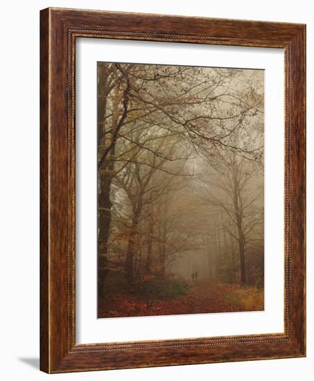 Foggy Forest-Peter Polter-Framed Photographic Print