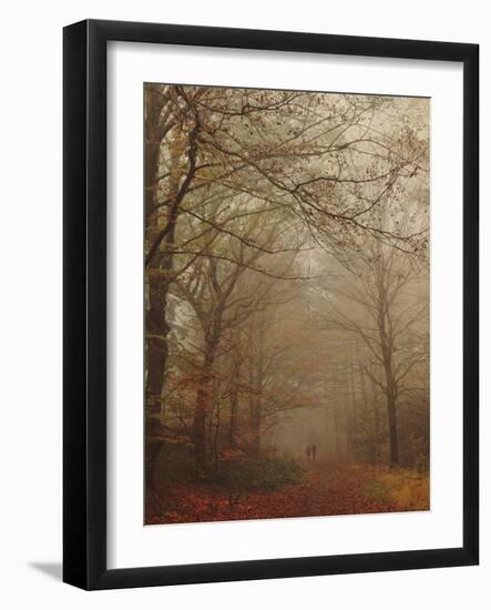 Foggy Forest-Peter Polter-Framed Photographic Print